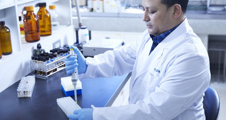 Yaegaki Biotechnology From fundamental to applied and practical research