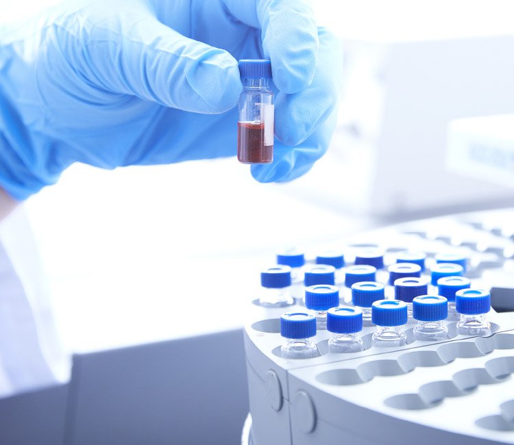 Yaegaki Biotechnology Functional Food Ingredients