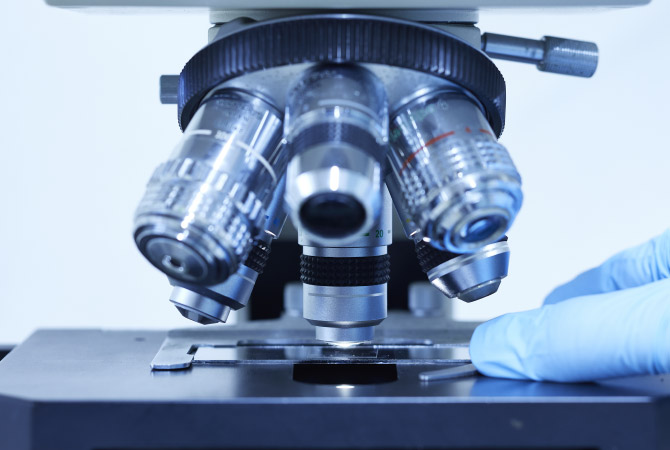 Yaegaki Biotechnology Research theme: ingredients to improve brain function