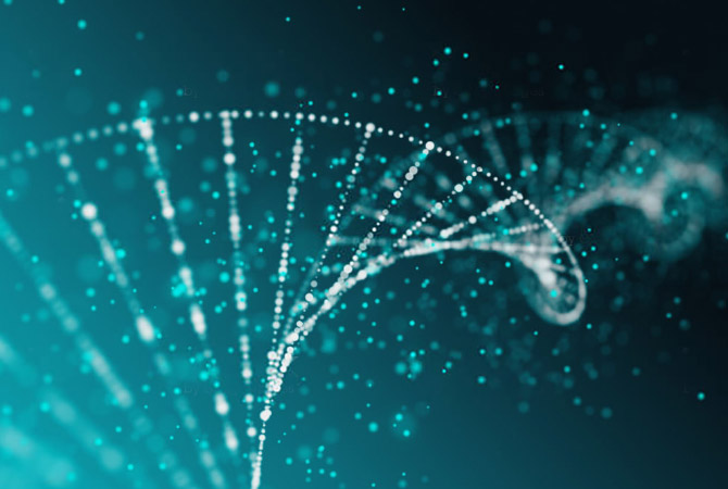 Yaegaki Biotechnology Research theme: ingredients to enhance lipid metabolism