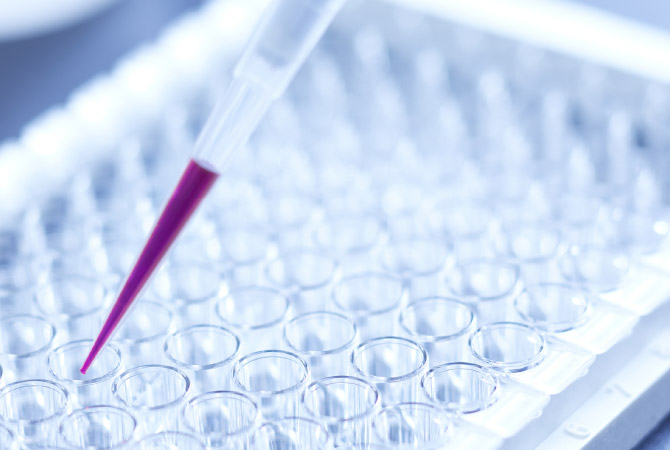 Yaegaki Biotechnology Pharmaceutical intermediates