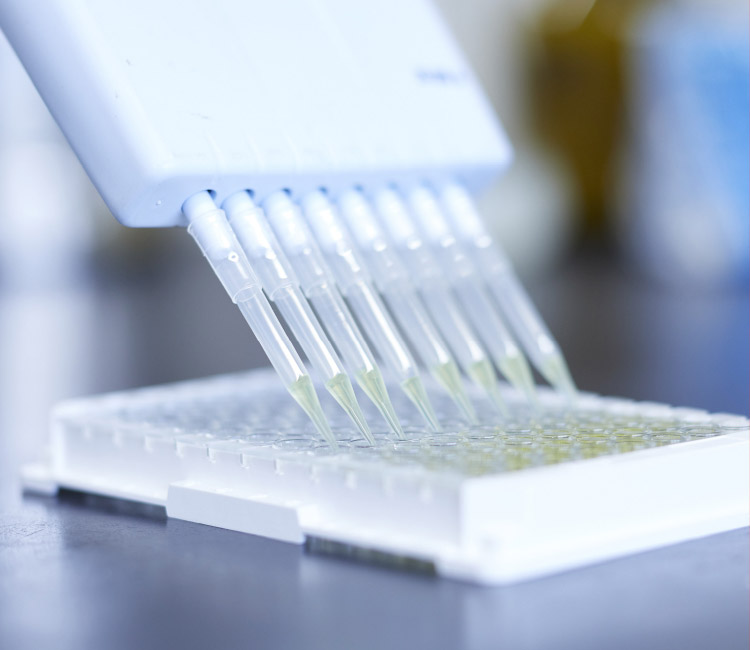 Yaegaki Biotechnology regards joint research and development with many companies