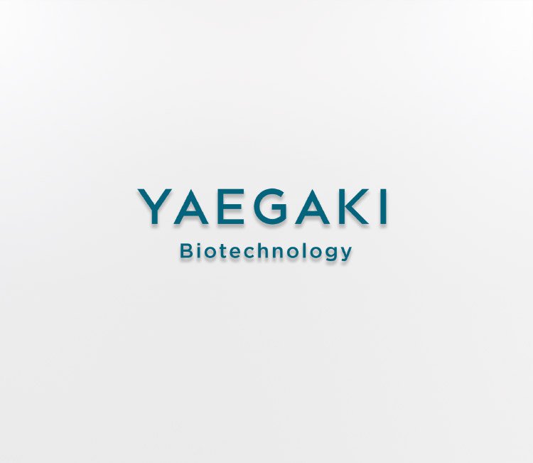 Yaegaki Biotechnology Corporate information