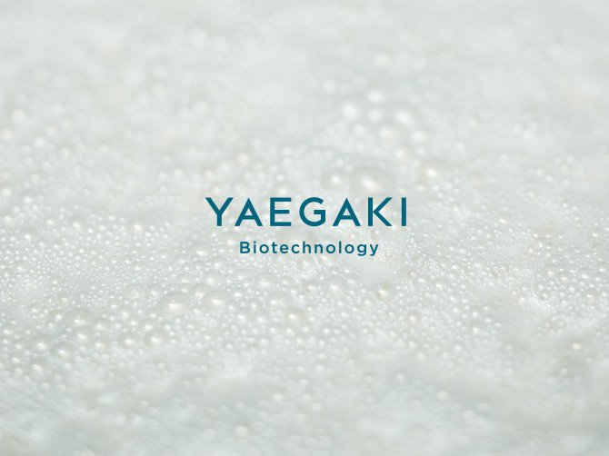 Yaegaki Biotechnology Yaegaki Biotechnology, Inc.