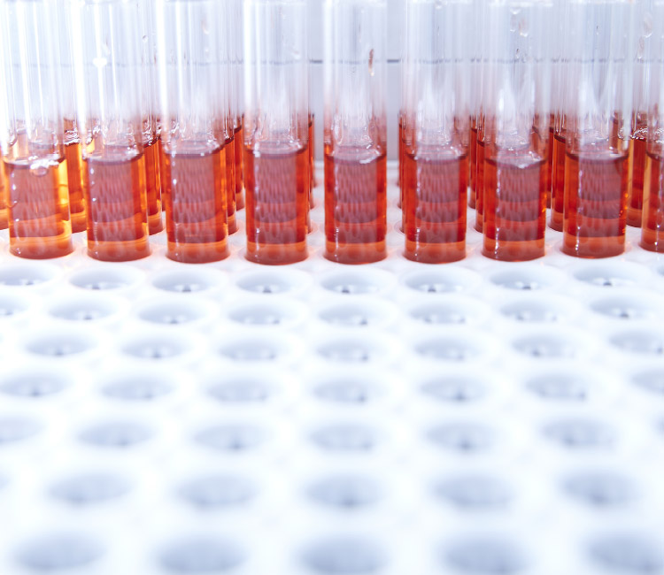 Yaegaki Biotechnology Quality management