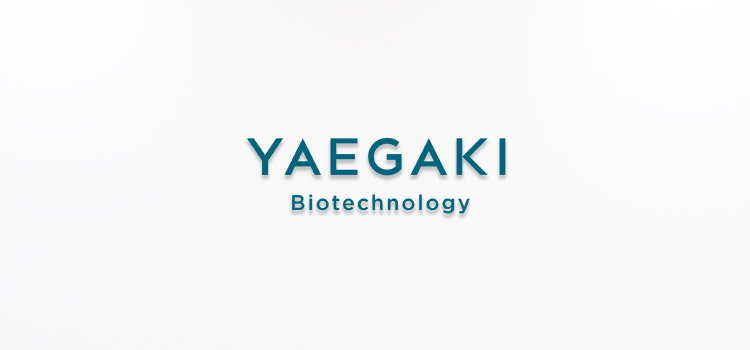 Yaegaki Biotechnology Corporate information