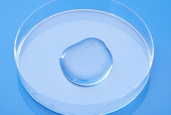 Yaegaki Biotechnology General Food Ingredients