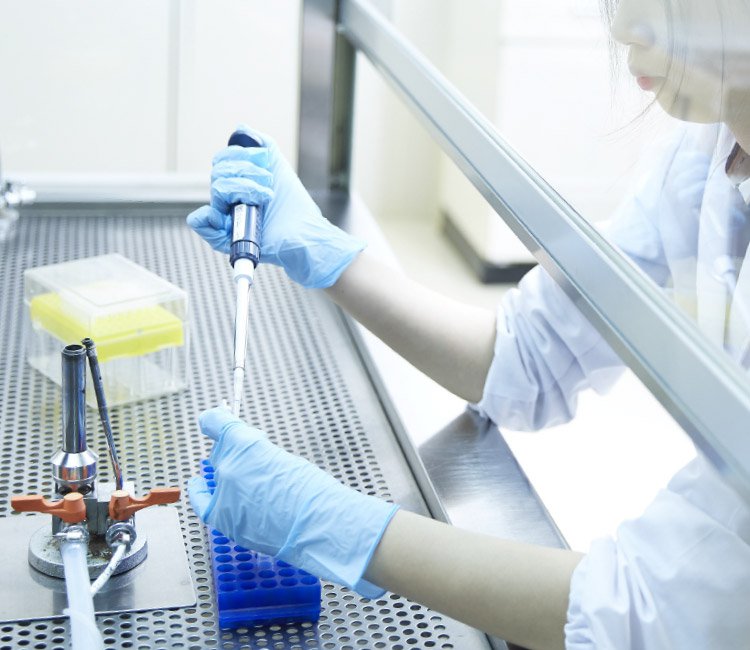 ヤヱガキ醗酵技研 Yaegaki Biotechnology ヤヱガキ醗酵技研について