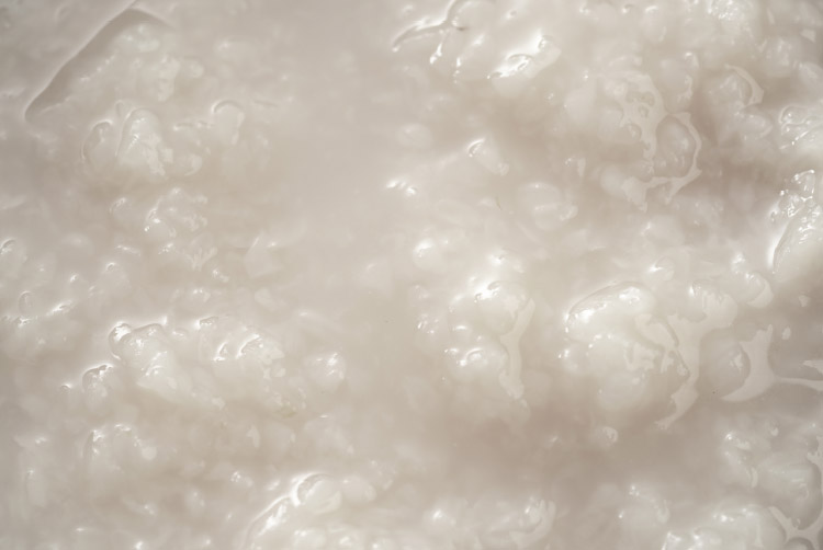 ヤヱガキ醗酵技研 Yaegaki Biotechnology 発酵技術