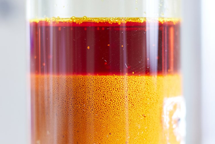 ヤヱガキ醗酵技研 Yaegaki Biotechnology 精製技術