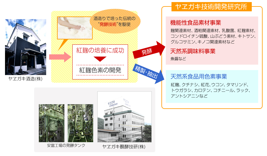 ヤエガキ醗酵技研の歴史