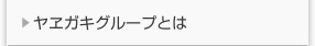 ヤヱガキ醗酵技研株式会社　ヤヱガキグループとは