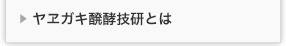 ヤヱガキ醗酵技研株式会社　ヤヱガキ醗酵技研とは