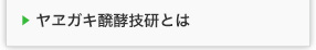 ヤヱガキ醗酵技研株式会社　ヤヱガキ醗酵技研とは