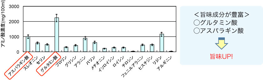 グルタミン酸とアスパラギン酸などの旨味成分が豊富