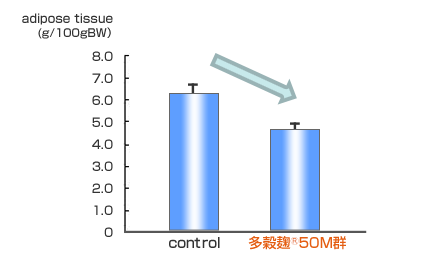 脂肪組織重量変化　グラフ