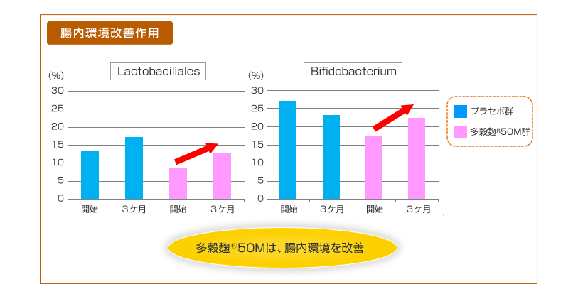 腸内環境改善作用　多穀麹<sup>®</sup>50Mは、腸内環境を改善