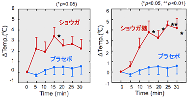 一般的なショウガと比べ、体温回復効果が上昇