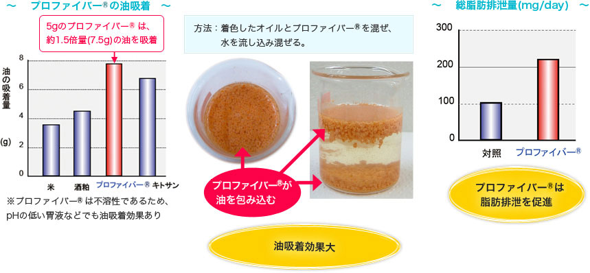 油吸着・脂肪排出について 図