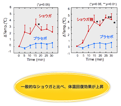 一般的なショウガと比べ、体温回復効果が上昇